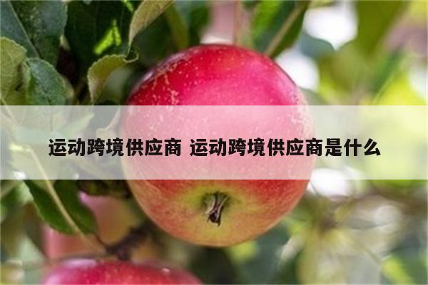 运动跨境供应商 运动跨境供应商是什么