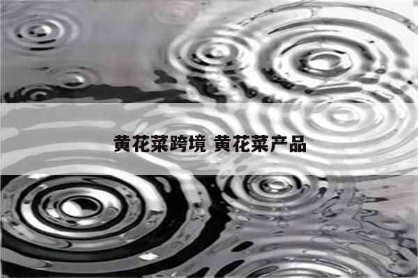 黄花菜跨境 黄花菜产品