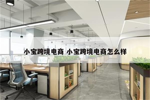 小宝跨境电商 小宝跨境电商怎么样