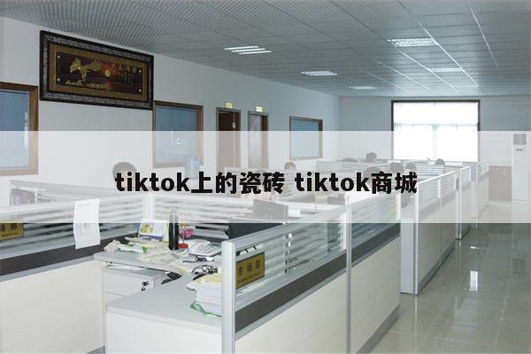 tiktok上的瓷砖 tiktok商城