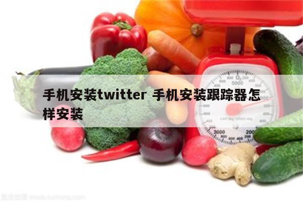 手机安装twitter 手机安装跟踪器怎样安装