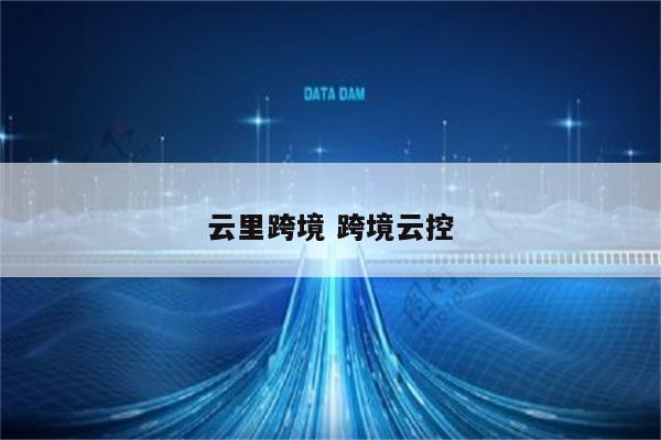 云里跨境 跨境云控