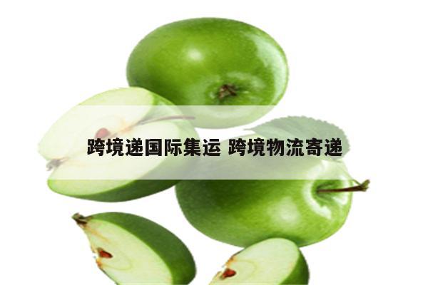 跨境递国际集运 跨境物流寄递