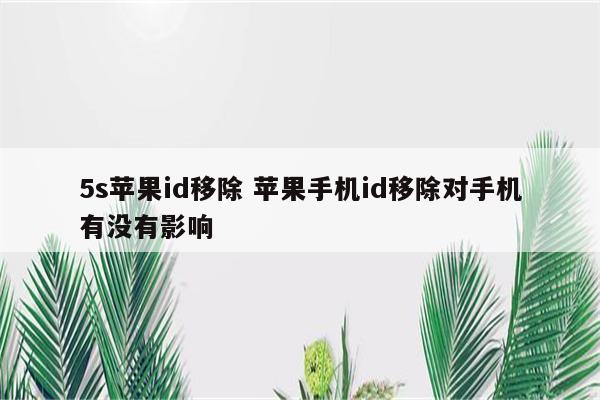 5s苹果id移除 苹果手机id移除对手机有没有影响