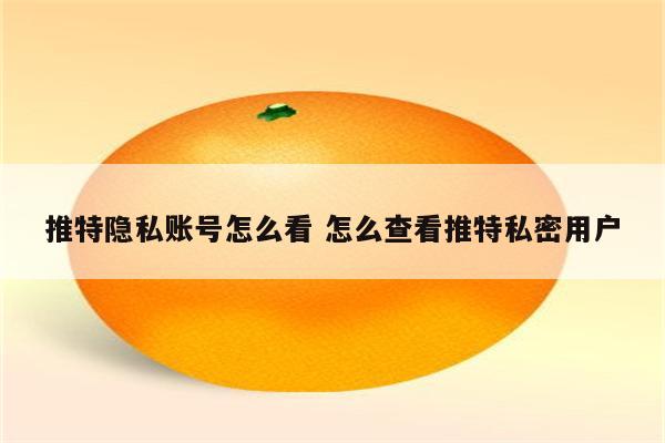 推特隐私账号怎么看 怎么查看推特私密用户