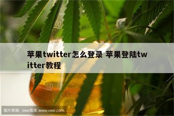 苹果twitter怎么登录 苹果登陆twitter教程