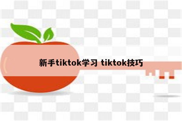 新手tiktok学习 tiktok技巧