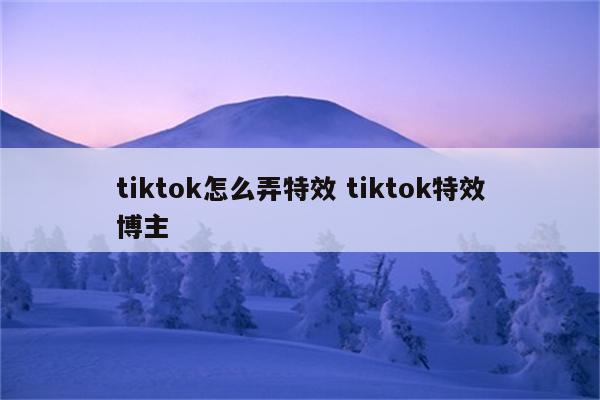 tiktok怎么弄特效 tiktok特效博主