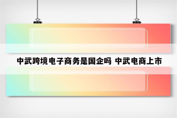 中武跨境电子商务是国企吗 中武电商上市
