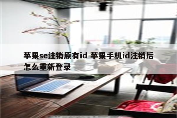 苹果se注销原有id 苹果手机id注销后怎么重新登录