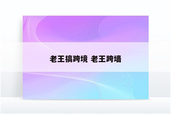 老王搞跨境 老王跨墙