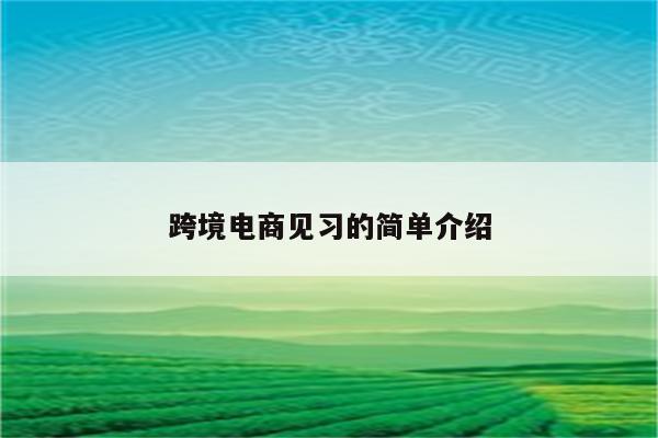 跨境电商见习的简单介绍