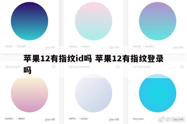 苹果12有指纹id吗 苹果12有指纹登录吗