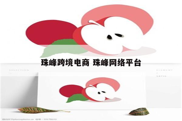珠峰跨境电商 珠峰网络平台