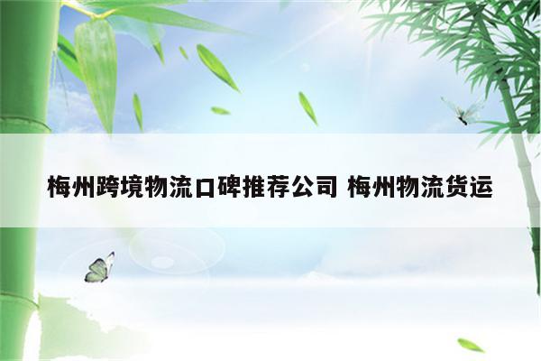 梅州跨境物流口碑推荐公司 梅州物流货运