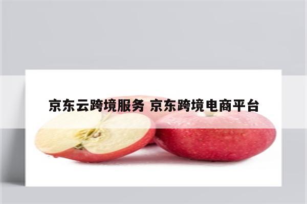 京东云跨境服务 京东跨境电商平台
