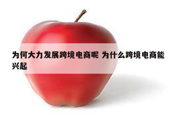 为何大力发展跨境电商呢 为什么跨境电商能兴起