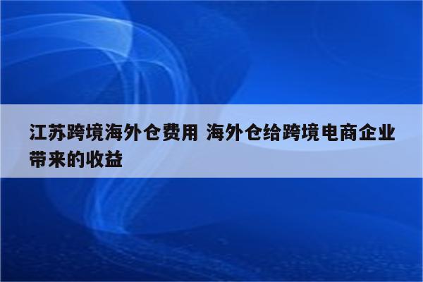 江苏跨境海外仓费用 海外仓给跨境电商企业带来的收益