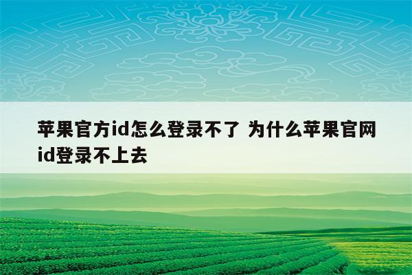 苹果官方id怎么登录不了 为什么苹果官网id登录不上去