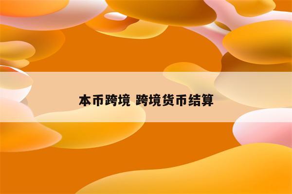 本币跨境 跨境货币结算