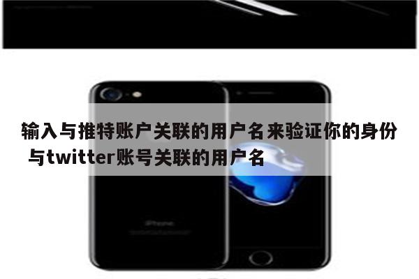 输入与推特账户关联的用户名来验证你的身份 与twitter账号关联的用户名
