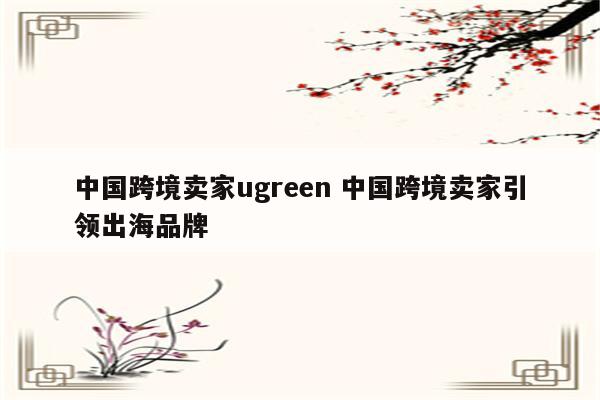 中国跨境卖家ugreen 中国跨境卖家引领出海品牌