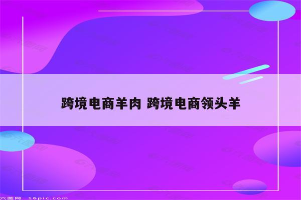 跨境电商羊肉 跨境电商领头羊