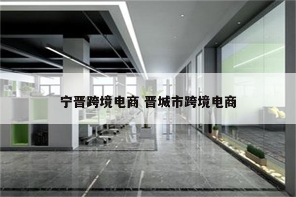 宁晋跨境电商 晋城市跨境电商