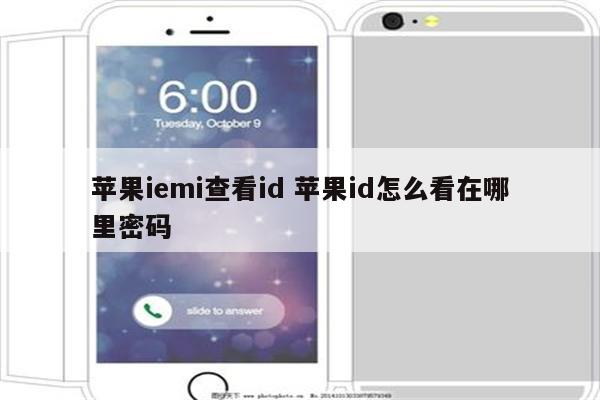 苹果iemi查看id 苹果id怎么看在哪里密码