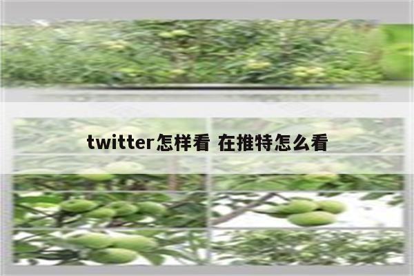 twitter怎样看 在推特怎么看