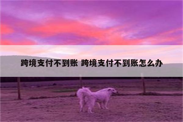 跨境支付不到账 跨境支付不到账怎么办