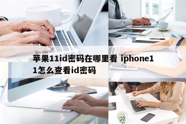 苹果11id密码在哪里看 iphone11怎么查看id密码