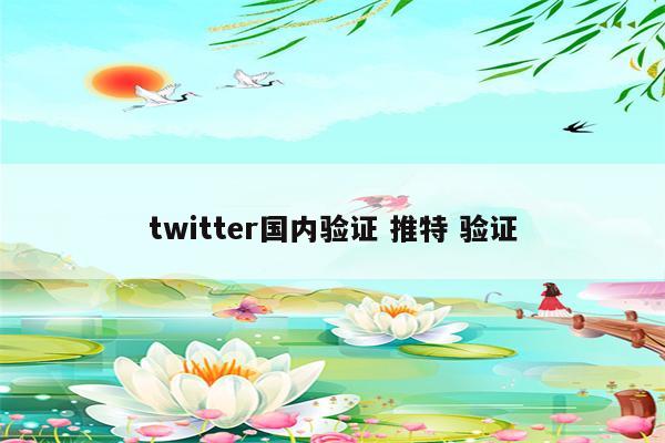 twitter国内验证 推特 验证