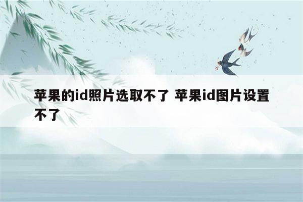 苹果的id照片选取不了 苹果id图片设置不了