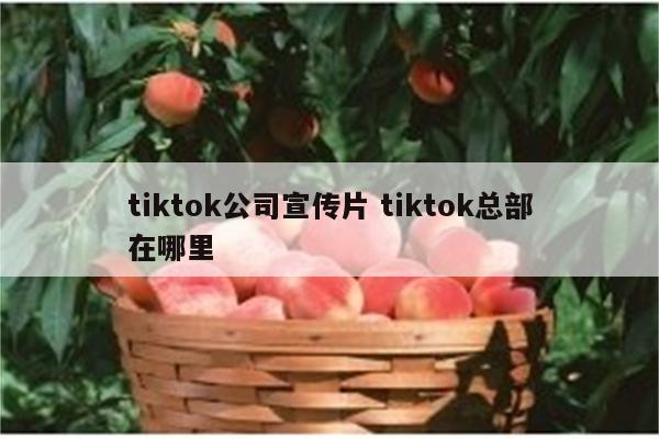 tiktok公司宣传片 tiktok总部在哪里