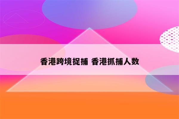 香港跨境捉捕 香港抓捕人数