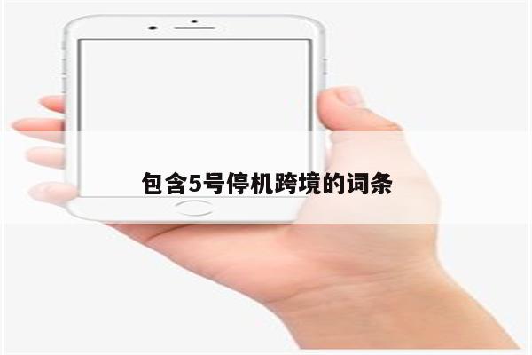 包含5号停机跨境的词条