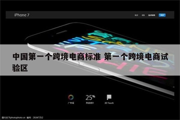 中国第一个跨境电商标准 第一个跨境电商试验区