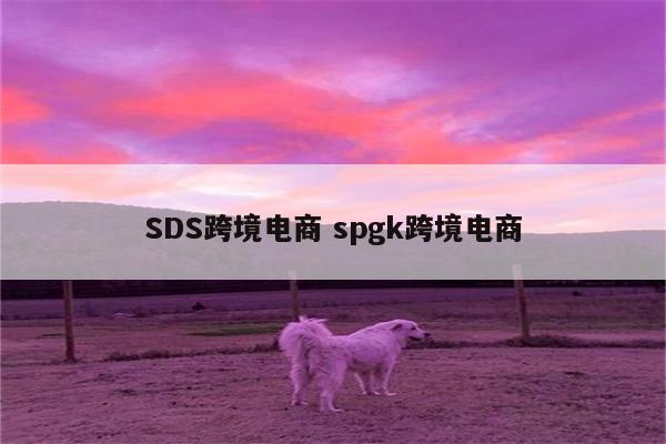 SDS跨境电商 spgk跨境电商