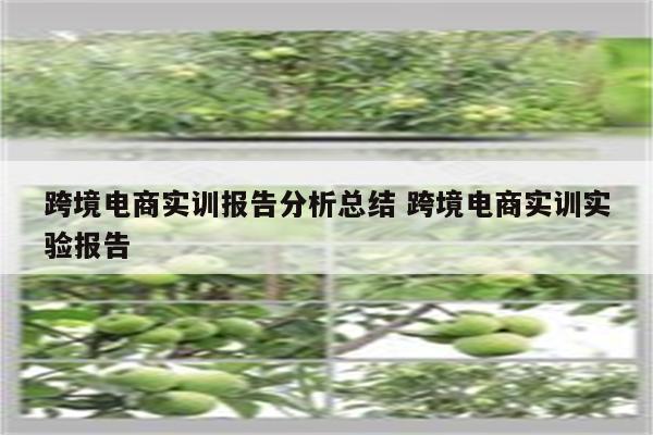 跨境电商实训报告分析总结 跨境电商实训实验报告