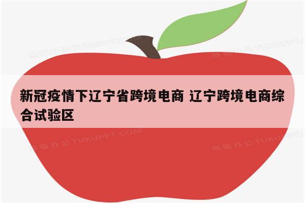 新冠疫情下辽宁省跨境电商 辽宁跨境电商综合试验区