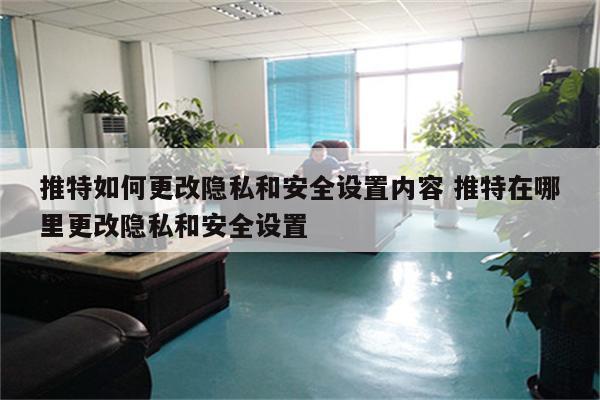 推特如何更改隐私和安全设置内容 推特在哪里更改隐私和安全设置