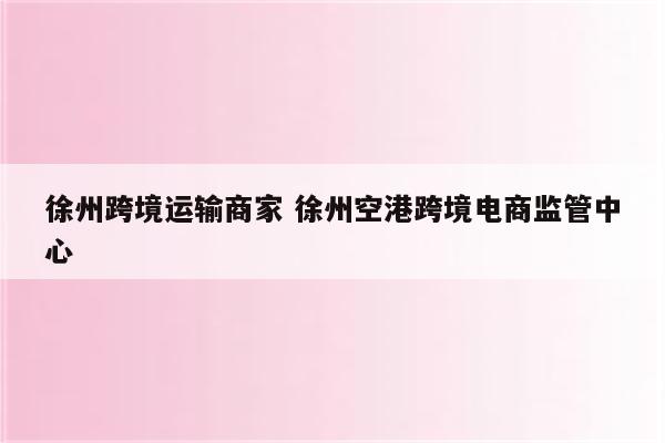 徐州跨境运输商家 徐州空港跨境电商监管中心