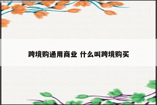 跨境购通用商业 什么叫跨境购买