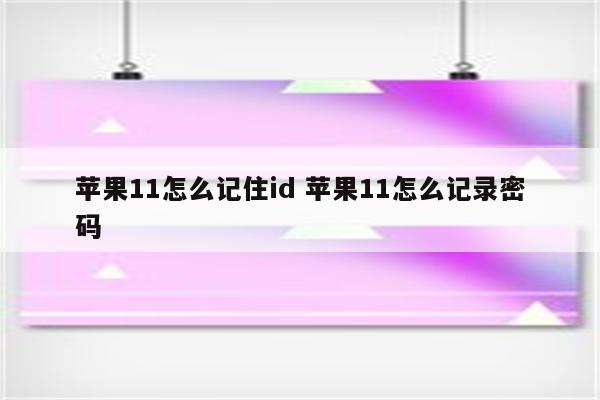 苹果11怎么记住id 苹果11怎么记录密码