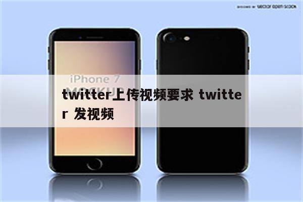 twitter上传视频要求 twitter 发视频