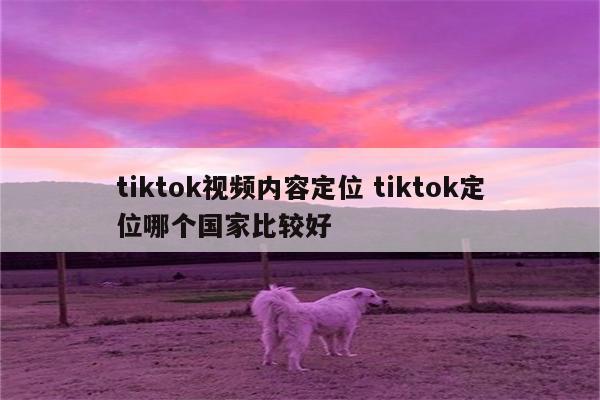 tiktok视频内容定位 tiktok定位哪个国家比较好