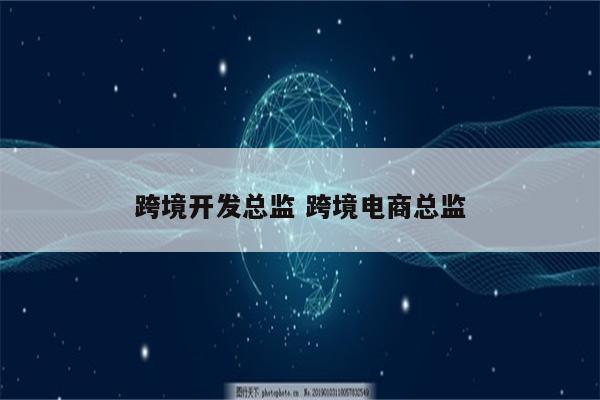 跨境开发总监 跨境电商总监
