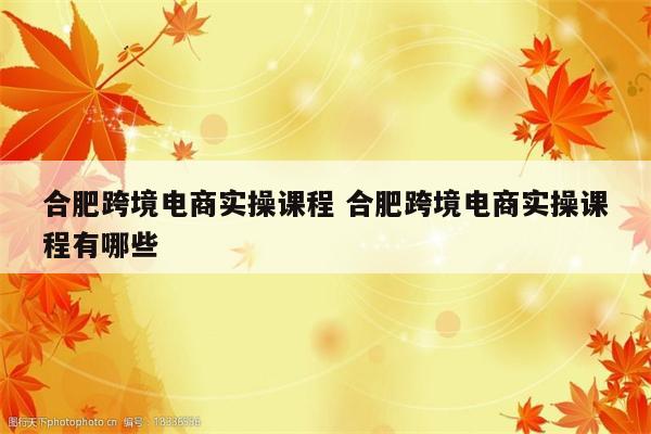 合肥跨境电商实操课程 合肥跨境电商实操课程有哪些