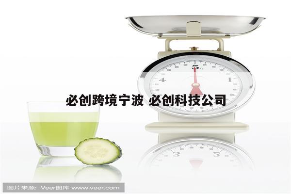 必创跨境宁波 必创科技公司